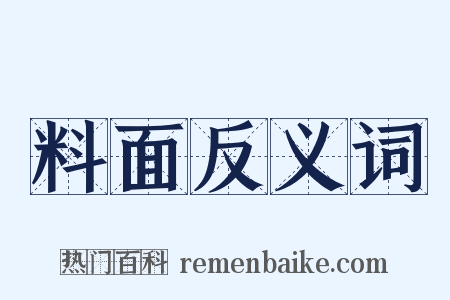料面反义词是什么意思的图片